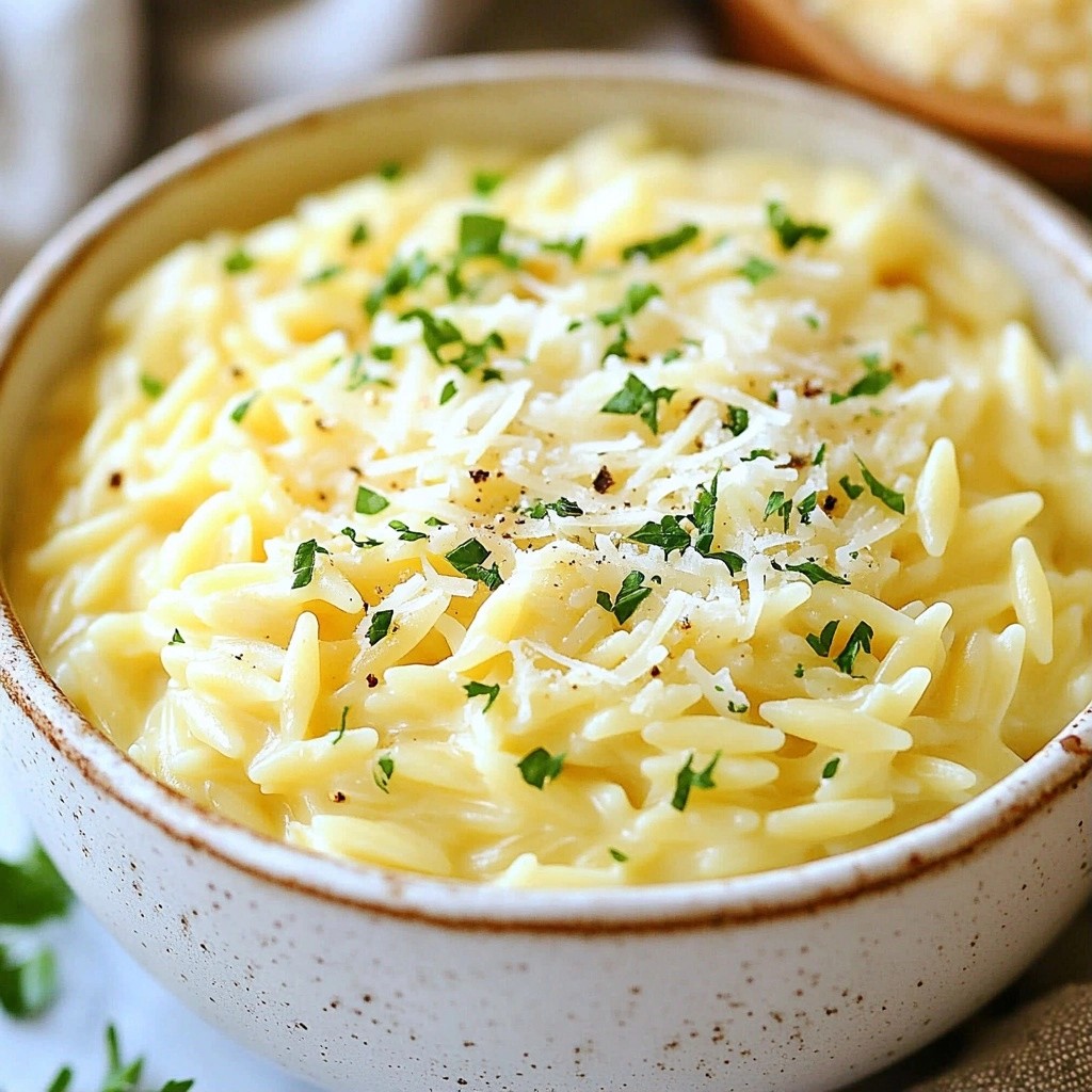 Creamy Instant Pot Garlic Parmesan Orzo Delight